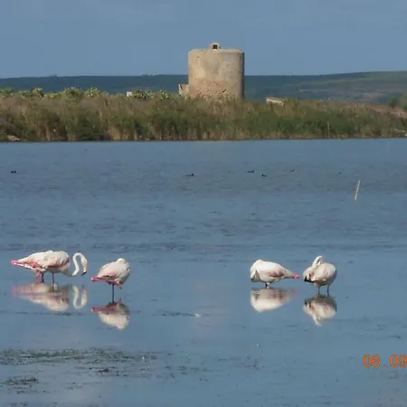 Daire Vacanze Càbras